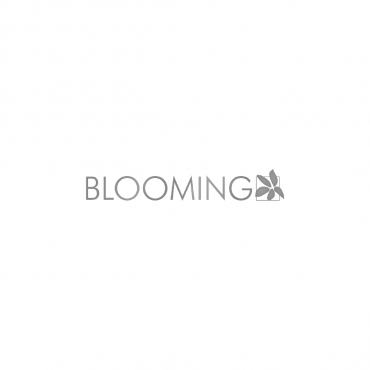 Blooming